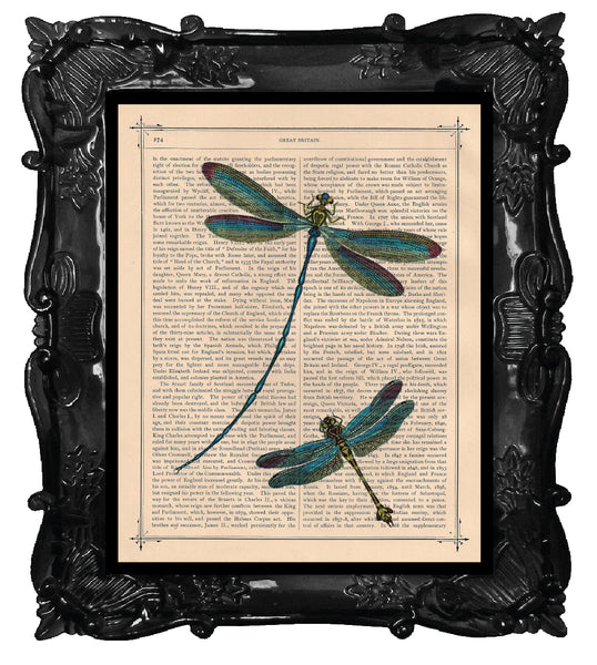 Dragonflies dancing on an Antique Book Page Art Print