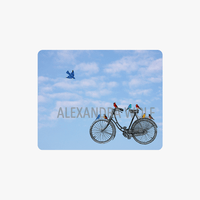 Birds with Bicycle Mouse Pad